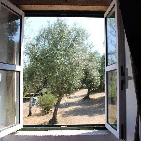 Casa Dos Terranhos Holiday home