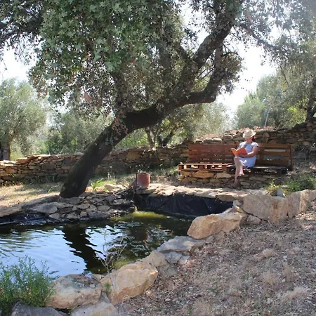 度假居 Casa Dos Terranhos 托马尔