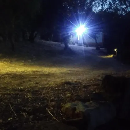 Casa Dos Terranhos * 托马尔