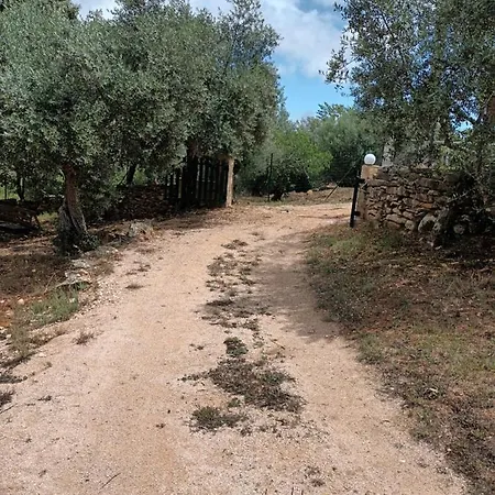 Casa vacanze Casa Dos Terranhos *